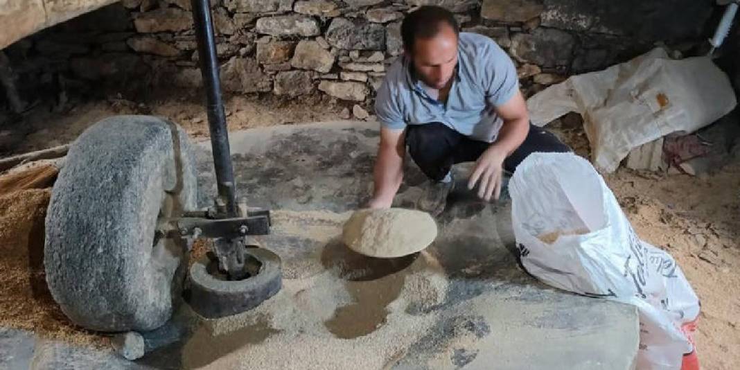 Ektikleri çeltikler asırlık değirmende işleniyor! Hizan’da doğal pirinç üretimi 3